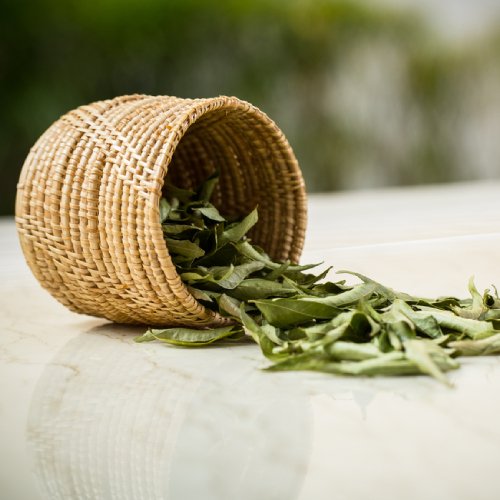curry leaf