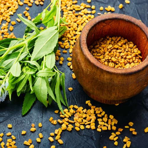 fenureek seeds