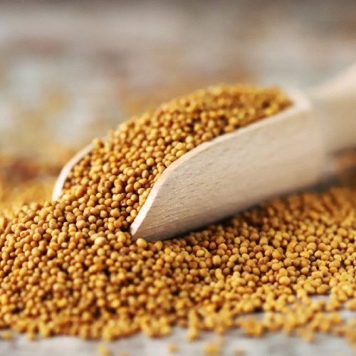 mustard seed